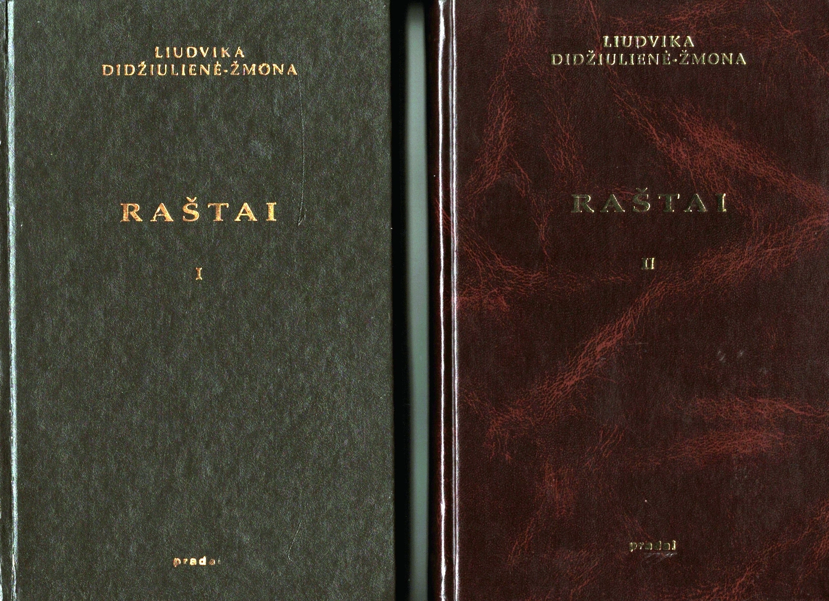 L. Didžiulienės-Žmonos Raštai