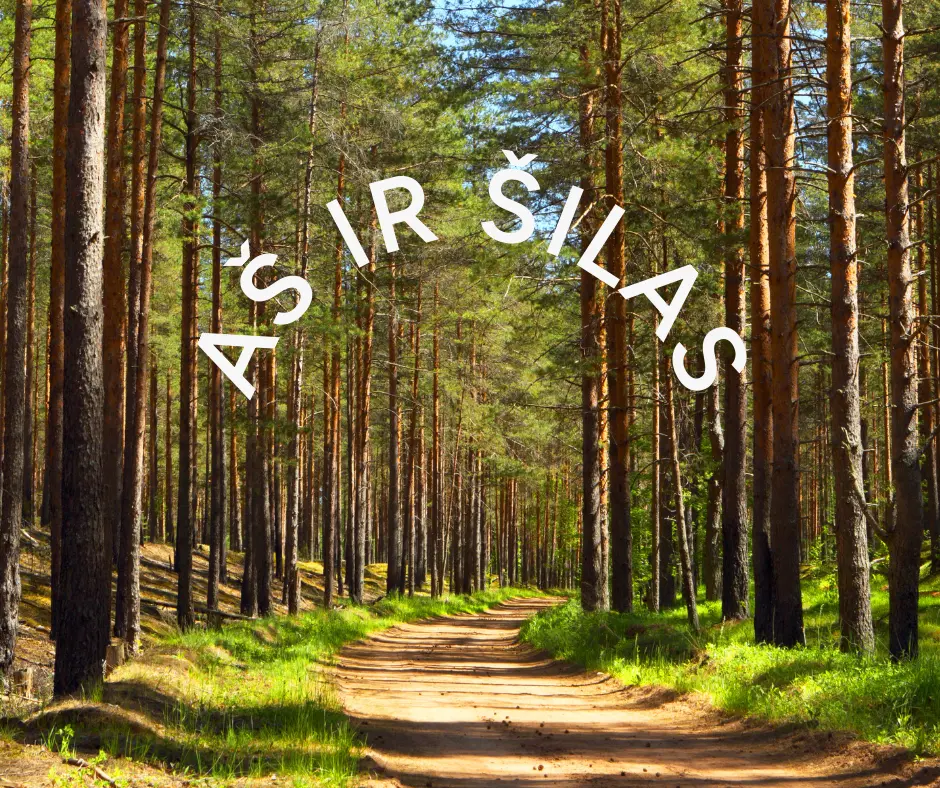 Aš ir šilas