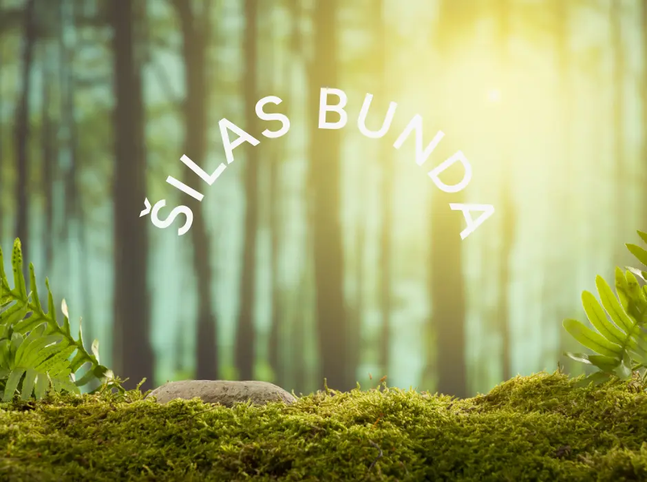 Šilas bunda