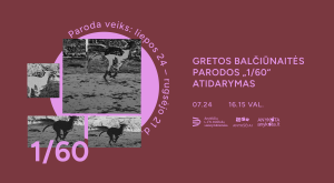 Read more about the article Gretos Balčiūnaitės parodos 1/60 atidarymas